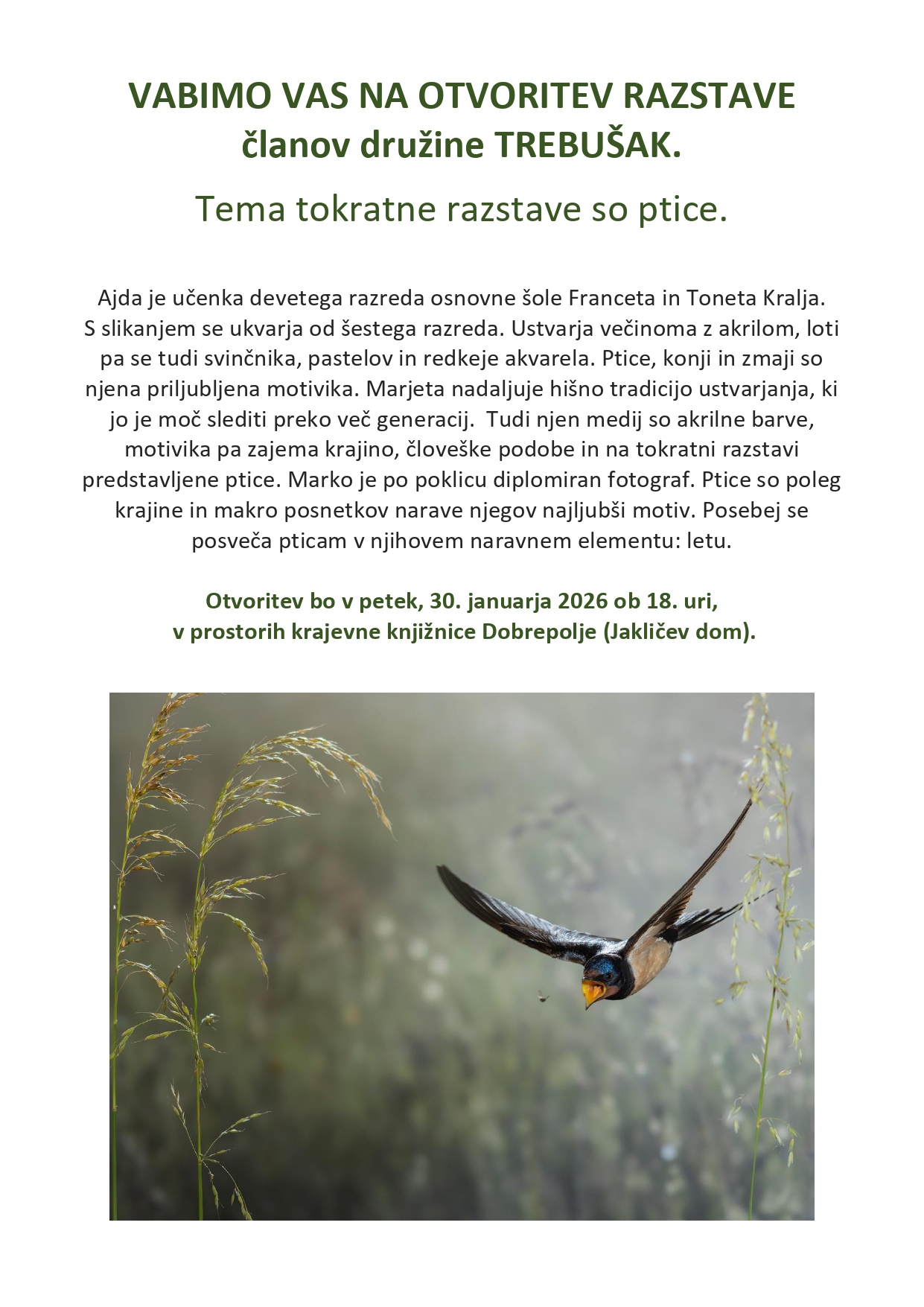 vABILO razstava družina Trebušak_page-0001